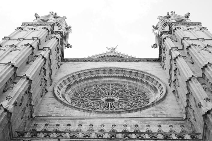 Palma