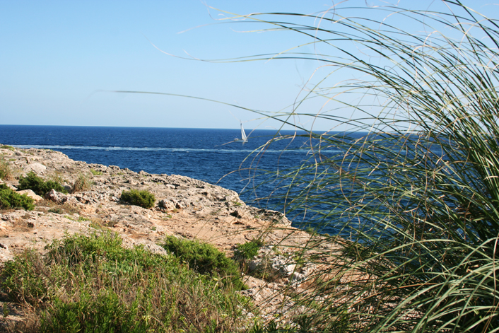 Cala D´Or