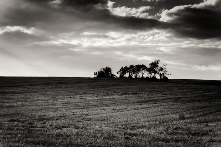 Der Untergang